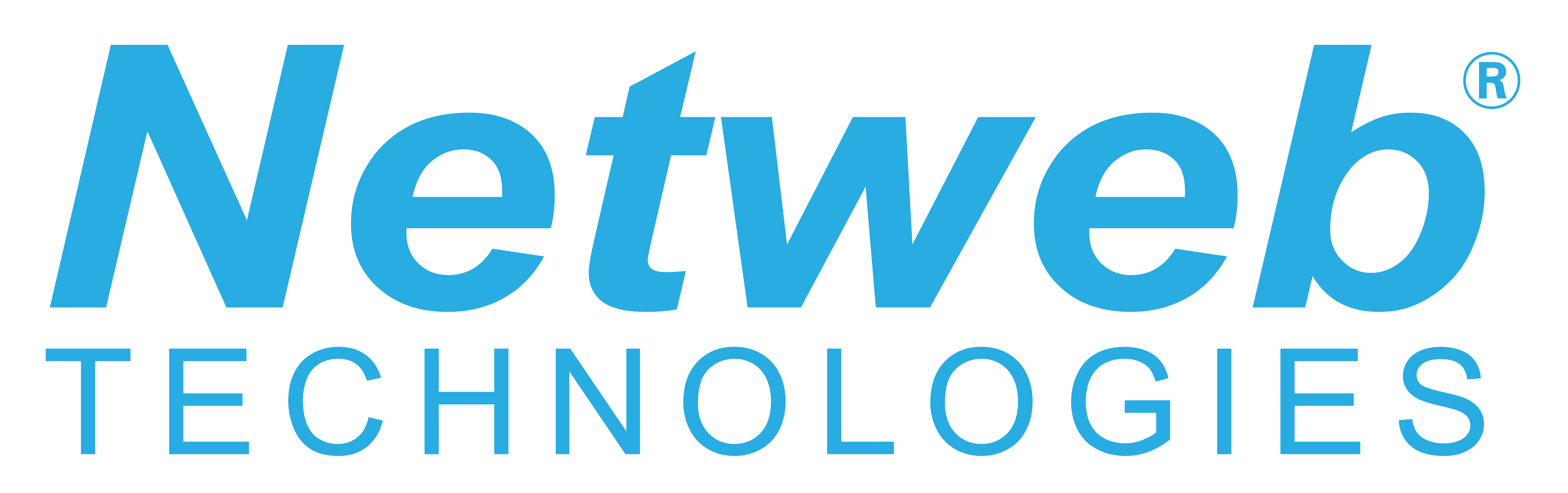 Logo Netweb